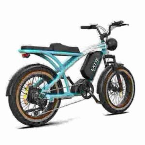 2 Wheel Electric Bike manufacturer