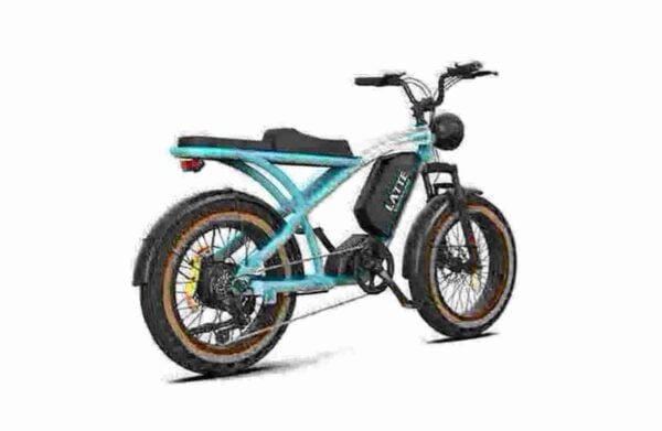 2 Wheel Electric Bike manufacturer