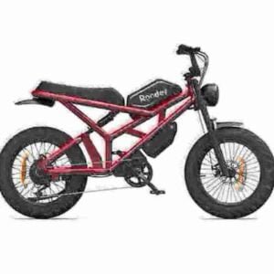 2 person electric bike manufacturer