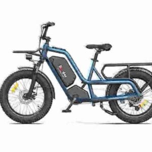 2 wheel drive electric bike manufacturer