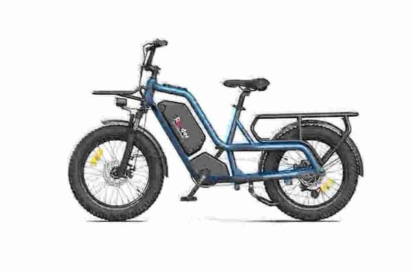 2 wheel drive electric bike manufacturer