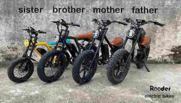 20 Electric Bike manufacturer