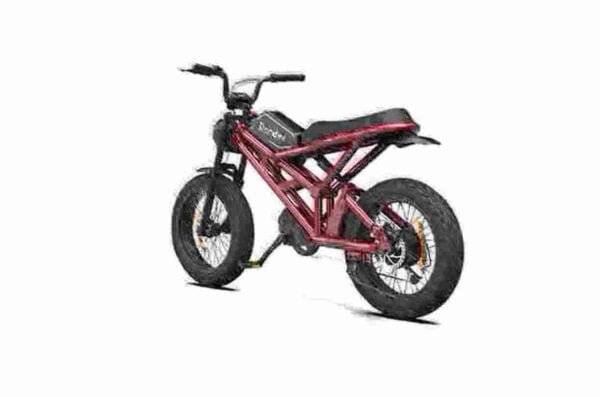 20 Folding Electric Bike manufacturer