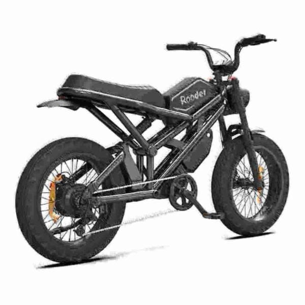 20 In Ebike manufacturer