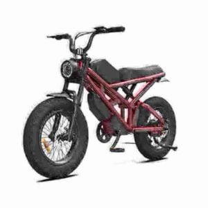 2024 electric bike manufacturer