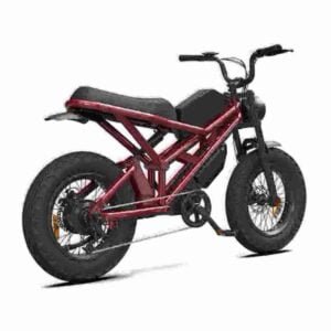 24 inch electric bike manufacturer