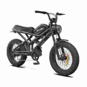 250w electric bike manufacturer