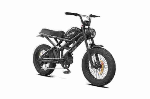 250w electric bike manufacturer