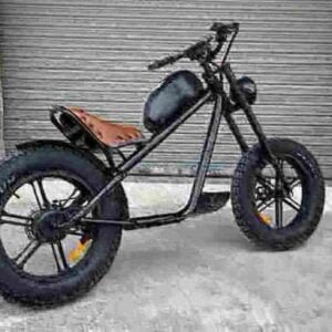 3 wheel e bike manufacturer