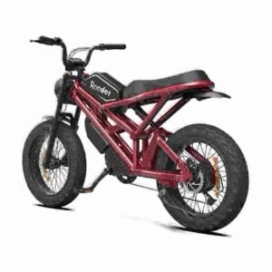 3000w ebike manufacturer