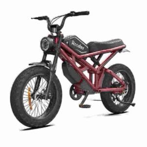 3000w electric bike manufacturer