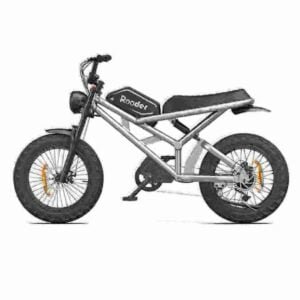 48v Electric Dirt Bike manufacturer