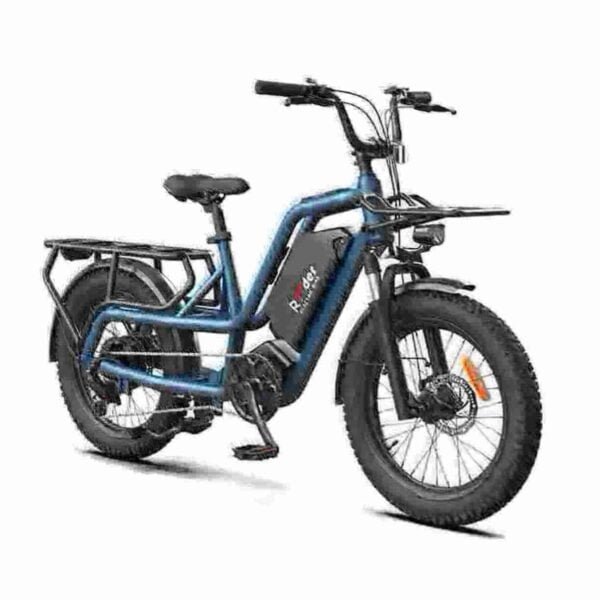 48v Fat Tire Electric Bike manufacturer