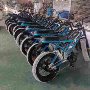 500 watt electric bike manufacturer