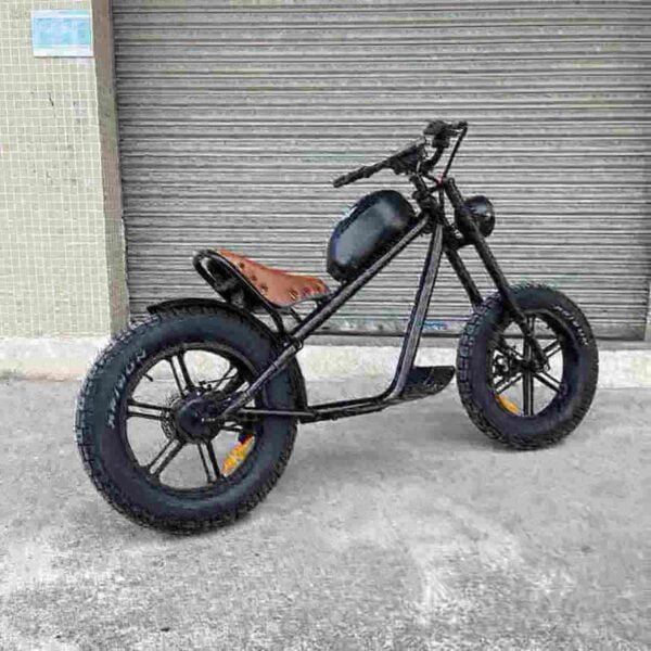 500w electric bike manufacturer