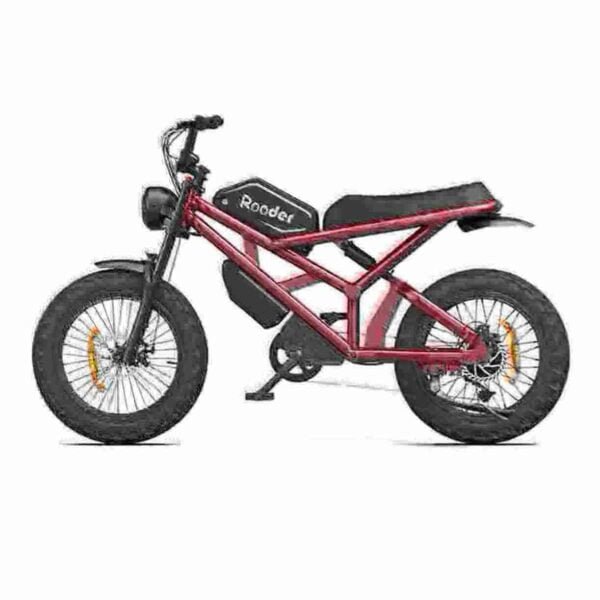 750 Watt Electric Fat Tire Bike manufacturer