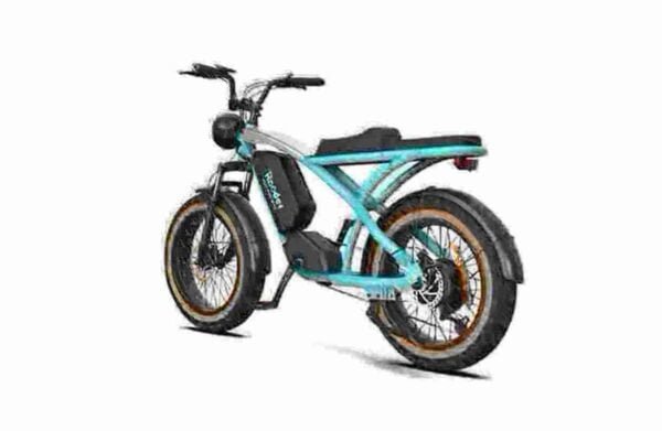 750 Watt Fat Tire Bike manufacturer