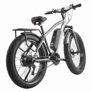 750w ebike manufacturer