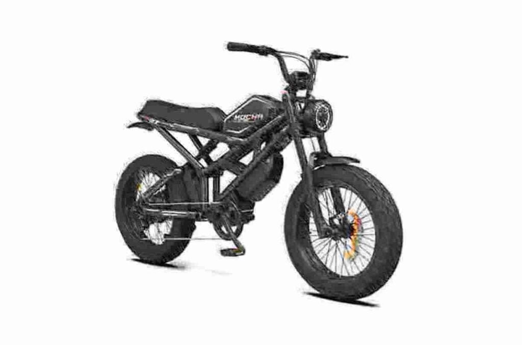 750w Fat Tire Ebike manufacturer