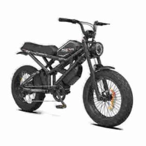 750w Fat Tire Ebike manufacturer