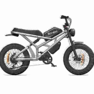 Adult Electric Folding Bike manufacturer