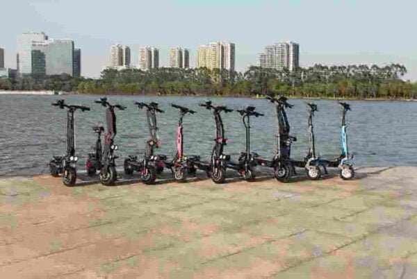 Adult Electric Off Road Scooter manufacturer