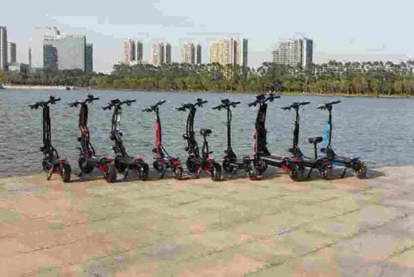 Adult Scooter Black manufacturer