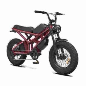 affordable e bikes manufacturer