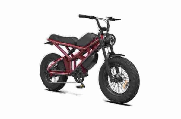 affordable e bikes manufacturer