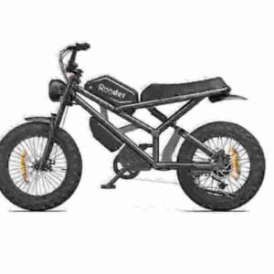 affordable electric bike manufacturer