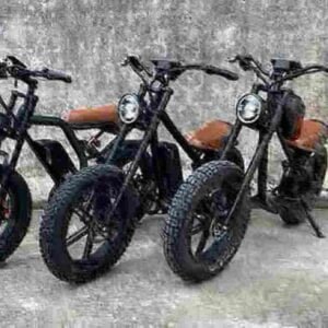 Affordable Fat Tire Electric Bike manufacturer