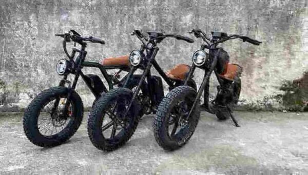 Affordable Fat Tire Electric Bike manufacturer