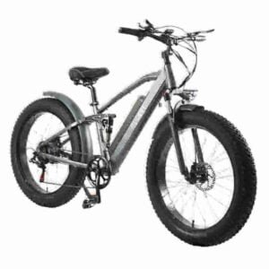 Affordable Folding Electric Bike manufacturer