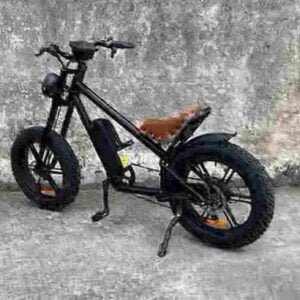 Battery Powered Fat Tire Bike manufacturer