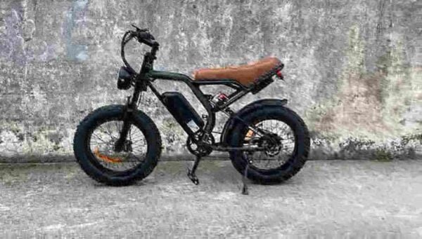 best budget electric bike manufacturer