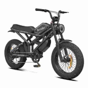 Best Chinese Folding Electric Bike manufacturer