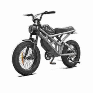 Best E Bike Fat Tire manufacturer