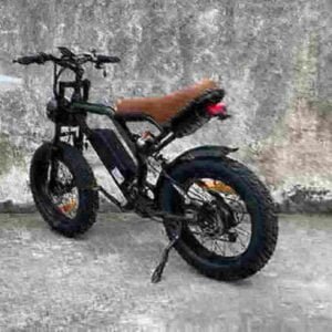 best e bikes manufacturer