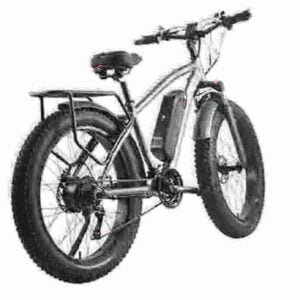 Best E Folding Bike manufacturer