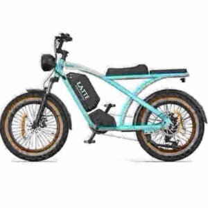 best electric bicycle manufacturer