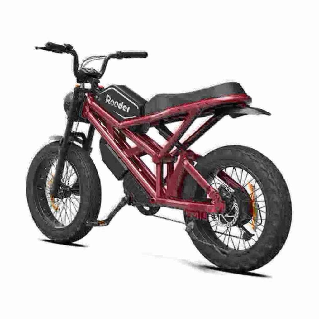 Best Electric Bike manufacturer
