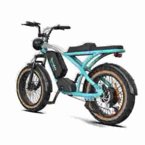 Best Electric Fat Bike manufacturer