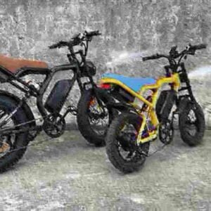 Best Electric Fat Tire Bicycle manufacturer