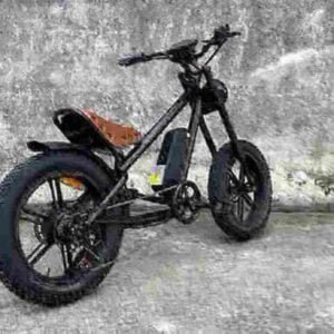 Best Electric Folding Commuter Bikes manufacturer