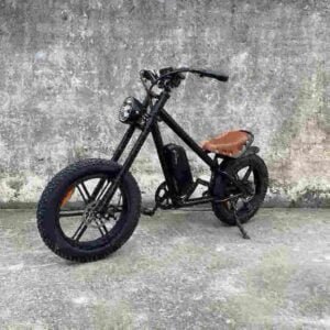 Best Fat Ebikes manufacturer