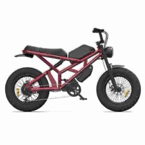 best fat tire ebike manufacturer