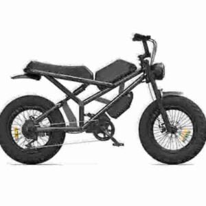 Best Fat Tire Ebikes manufacturer