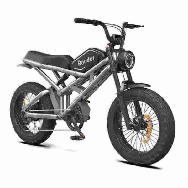 Best Fat Tyre Electric Bike manufacturer