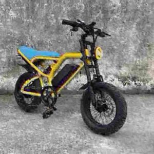 Best Foldable Electric Bicycle manufacturer