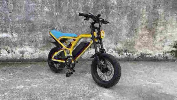 Best Foldable Electric Bicycle manufacturer